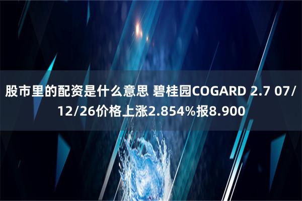 股市里的配资是什么意思 碧桂园COGARD 2.7 07/12/26价格上涨2.854%报8.900