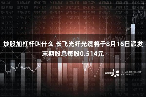 炒股加杠杆叫什么 长飞光纤光缆将于8月16日派发末期股息每股0.514元