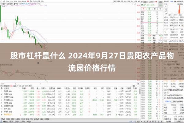 股市杠杆是什么 2024年9月27日贵阳农产品物流园价格行情