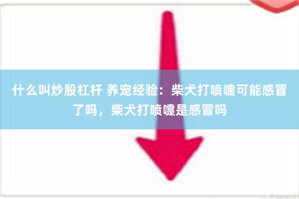 什么叫炒股杠杆 养宠经验：柴犬打喷嚏可能感冒了吗，柴犬打喷嚏是感冒吗