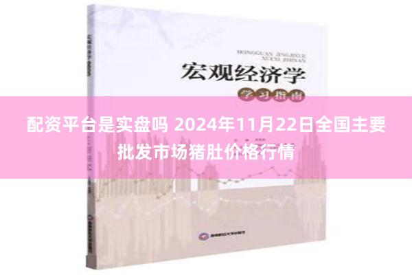 配资平台是实盘吗 2024年11月22日全国主要批发市场猪肚价格行情